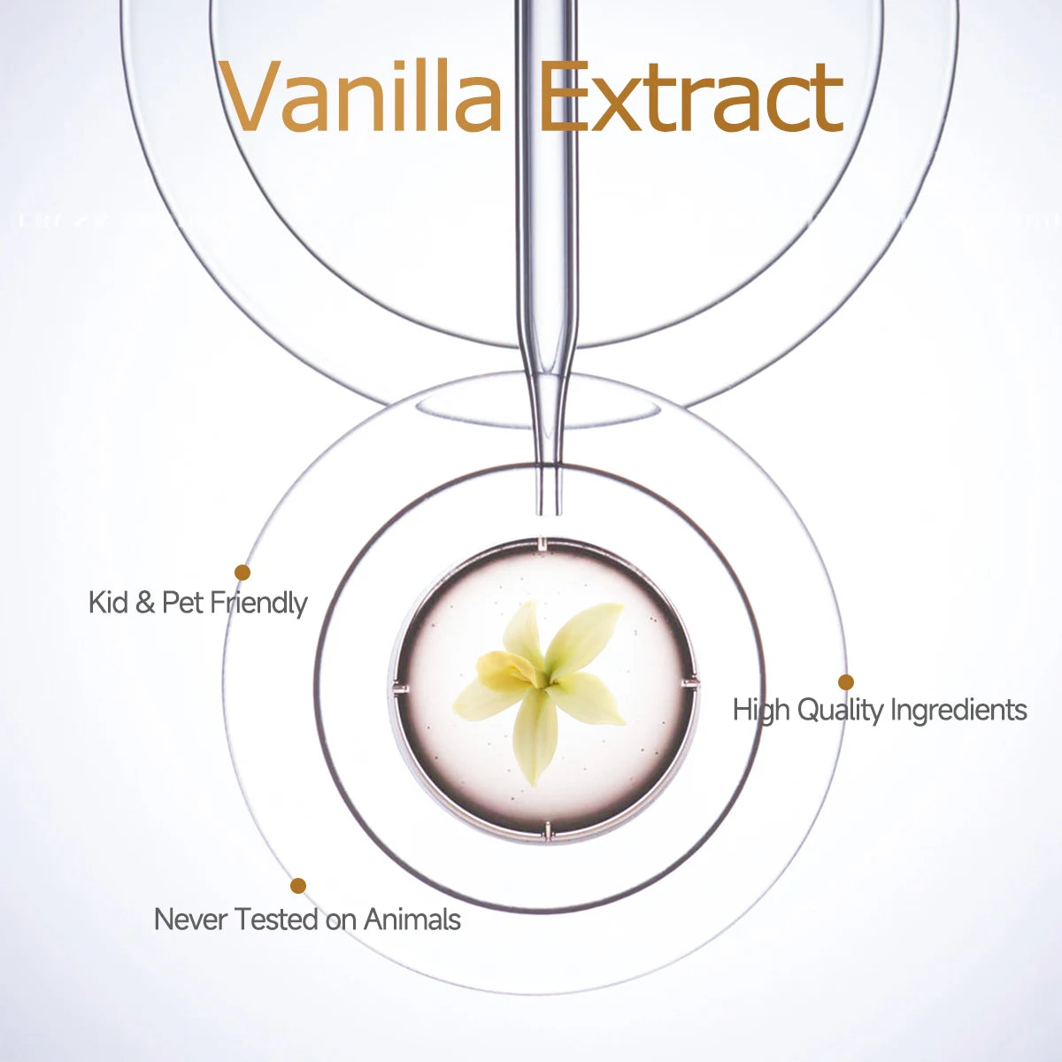 Vanilla Plant Extract Essential Oil